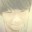 IT青年